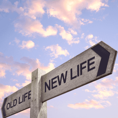 Signpost with arrows pointing in opposite directions. One arrow reads "Old Life," and the other reads "New Life." The sky in the background shows scattered clouds with pink and blue hues.
